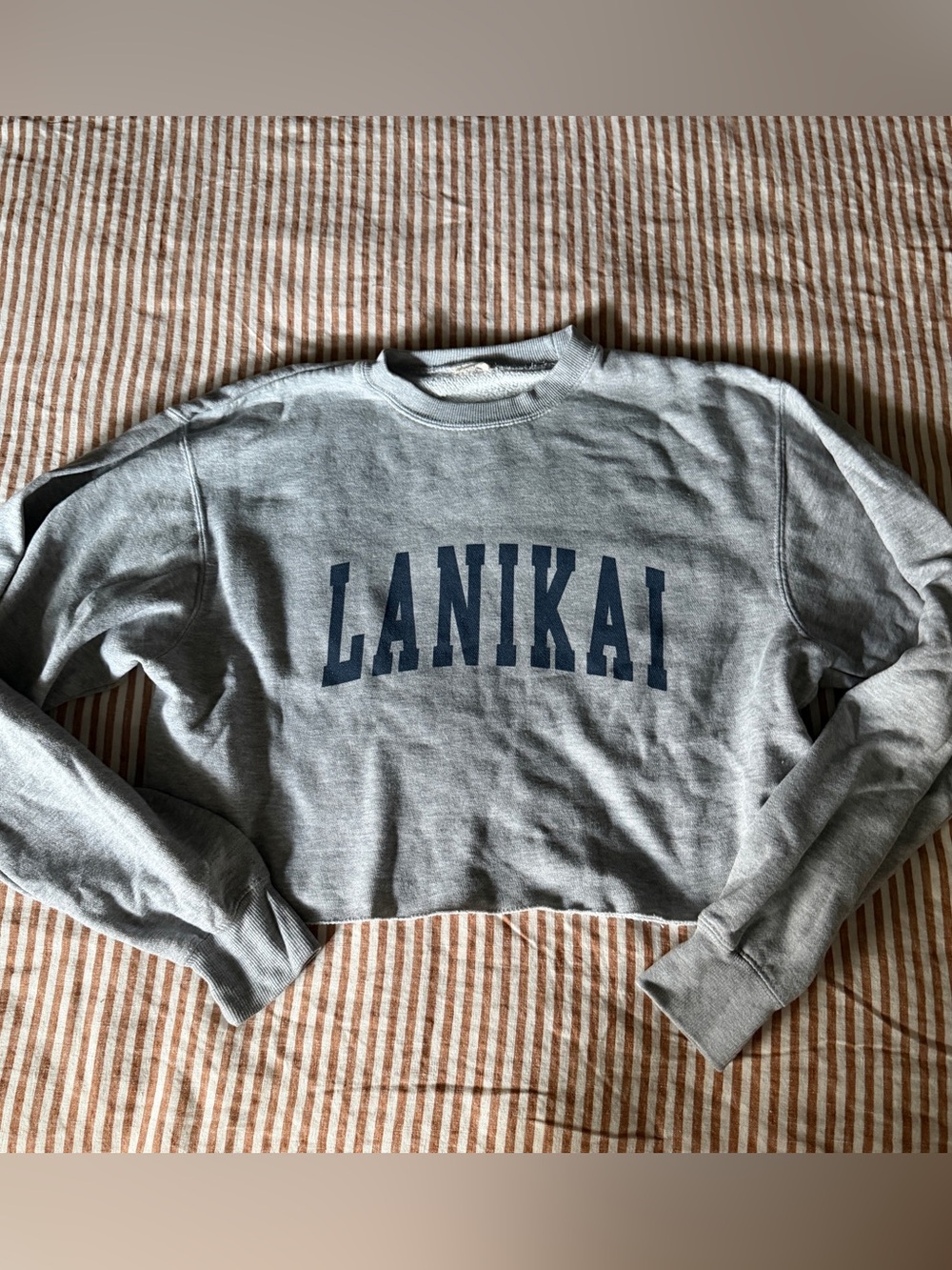 Brandy Melville Gray Cropped 'LANIKAI' Sweatshirt